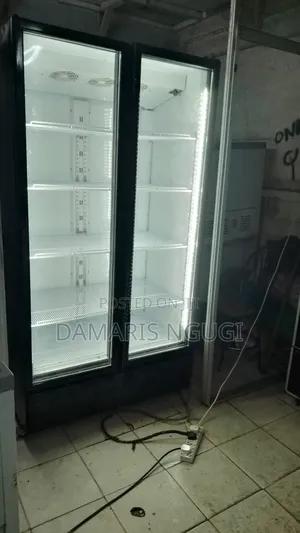 2 Door Display Fridge