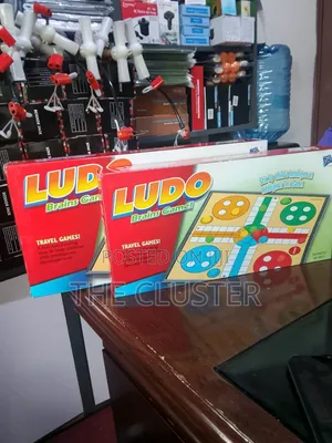 Magnetic Ludo Game