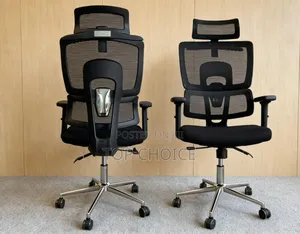 Adjustable Backrest Orthopedic Chair
