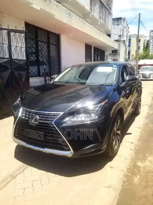 Lexus NX 2019 Black