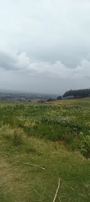 Land On Sale At Kinangop Magumu