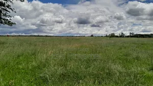 14 Acres Oloiren Kiserian