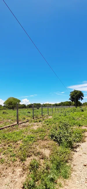 For Sale Quater Acres Plots Diani