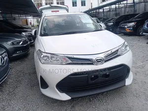 Toyota Corolla Fielder 2019 White