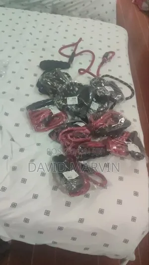 Slip Leash