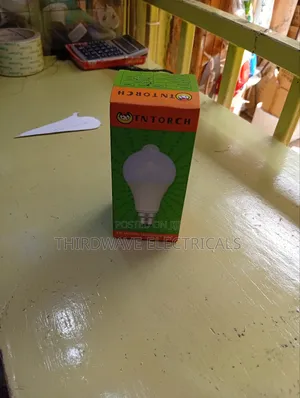 Motion Sensor Bulb