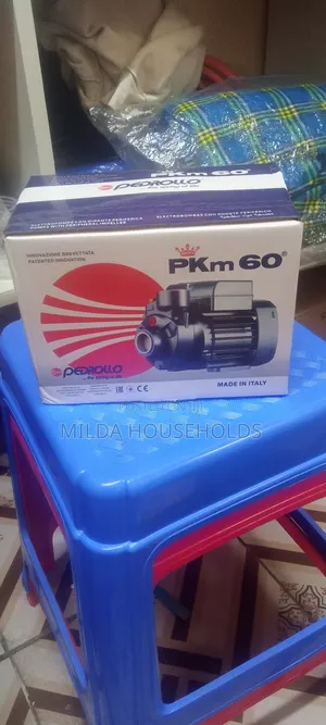 Pedrolo Water Pump