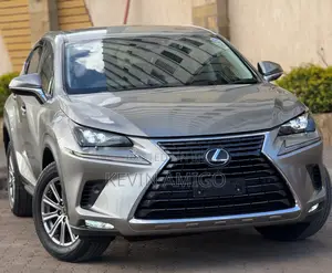 Lexus NX 2020 Silver