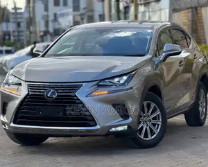 Lexus NX 2020 Silver