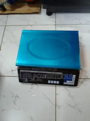 30kg Platform Scale/Acs Scale