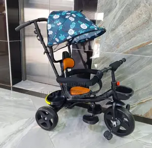 Tricycle With a Canopy
