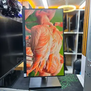 Philips 243v Frameless Monitor