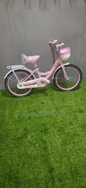 Size 20 Bike -Beautiful Pink Girl's Bike