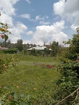 50×100 Plot for Sale in Olkeri, Ngong.