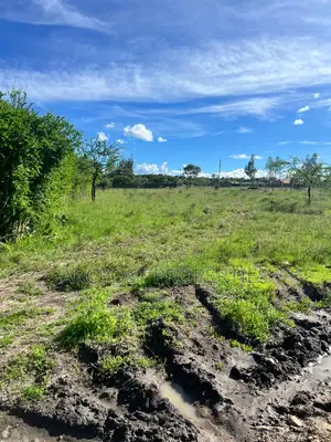 1/2 Acre Plot for Sale in Malaa KCB