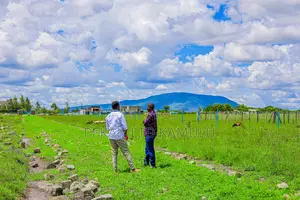 Affordable 50 by 100 Plots in Malaa