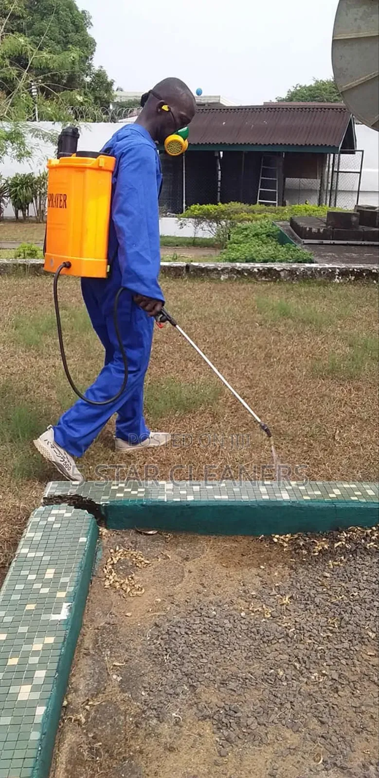 Cockroaches, Ants  Bedbugs Fleas Fumigation Services