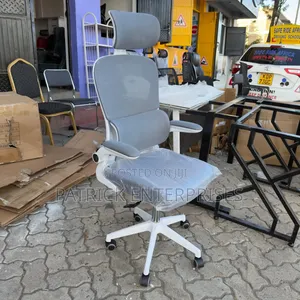 Ergonomic Executive Double Back Orthopedic Chair White/Gray