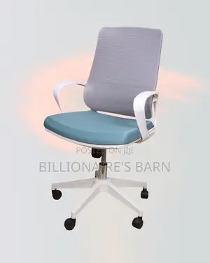 White Ergonomic Mesh Office Chair Mid Back Lumbar Support Solution