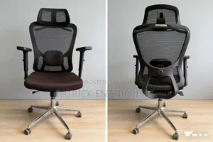 Executive Imported Orthopedic Office Chair
