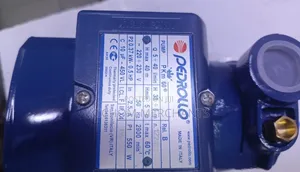 Pedrollo 0.5hp Booster Water Pump/Pkm 60 0.5hp Pedrollo Pump