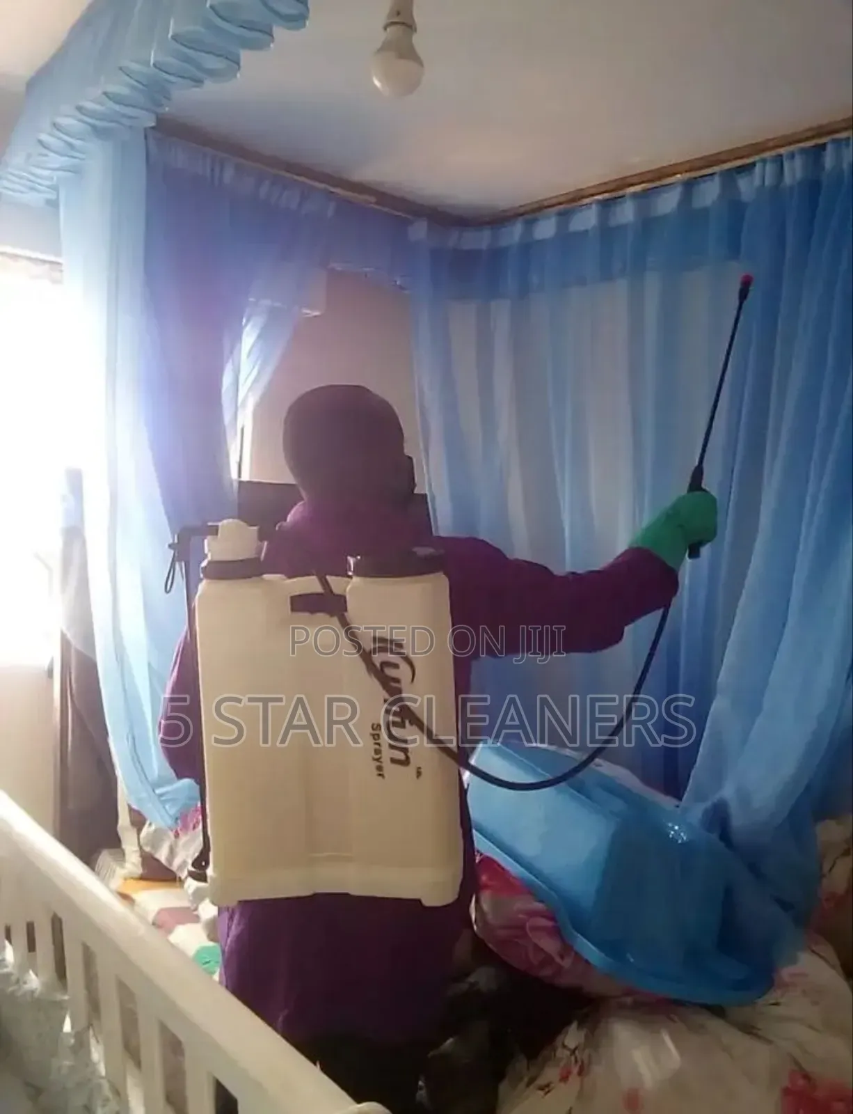 Fumigation Experts