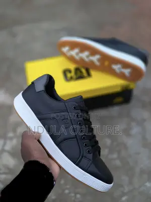 Caterpillr Casuals