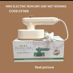 Mini Electric Iron For Both Wet And Dry