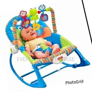 Infant to Toddler Baby Rocker
