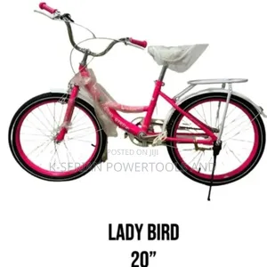 Lady's Bike 20'