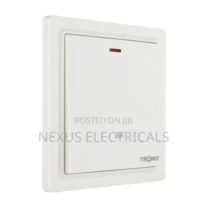 Grey/Black/White - Dp Switch With Neon 20amps Tronic