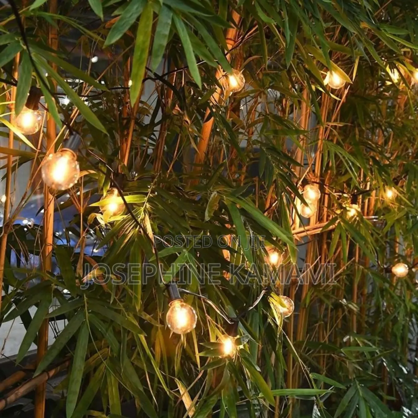 Solar String Lights