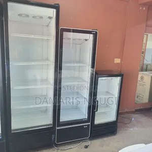 Small Mini Display Fridge (100litres)