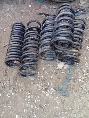 Heavy Duty Coil Springs for Peugeot