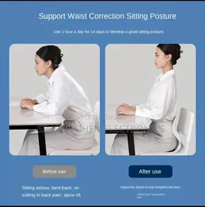 Ergonomic Back Support Seat Cushion