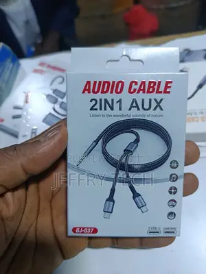 2-in-1 Usb-C and Lightning to 3.5mm Aux Audio Cable