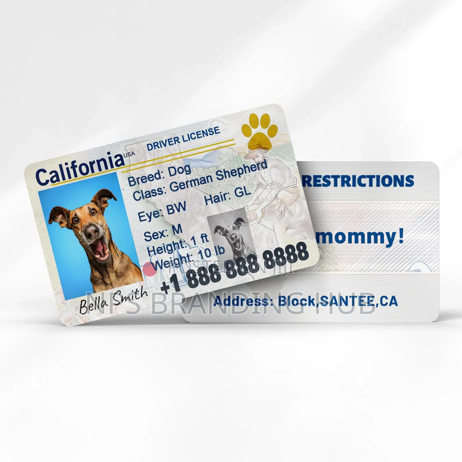 Business Id Printing