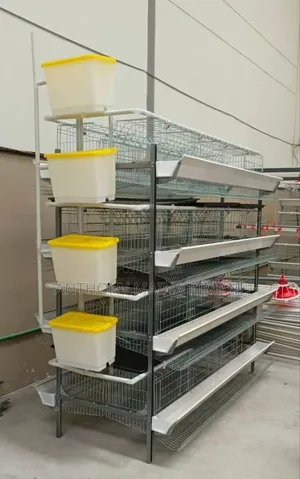 Poultry, Broiler and Rabbit Cages
