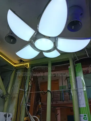 Deformable Bulb