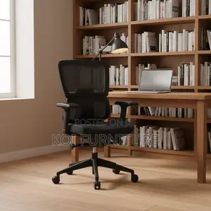 Office Chairs; Professional Elegance Orthopedic High Back Seats