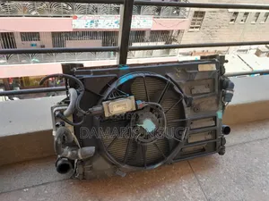 Axela Radiator 2015 Complete