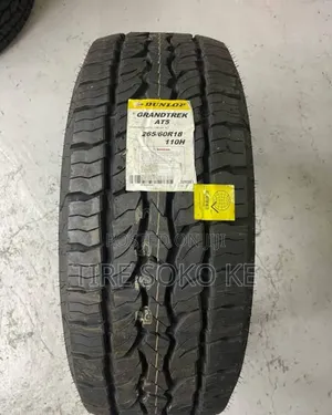 265/60r18 Dunlop Grandtrek A.T5