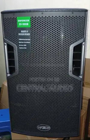 Enforcer 15inch Midrange I
