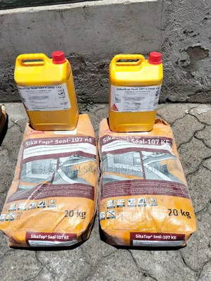 Dampness Waterproofing - Sika Top Seal 107 .