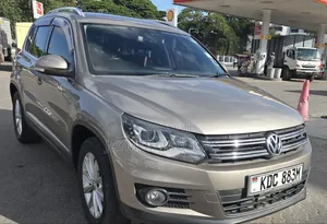 Volkswagen Tiguan 2016 Beige