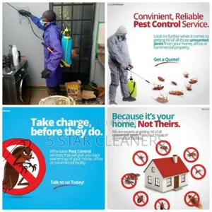 Cockroaches' Elimination and Household Pests Fumigation