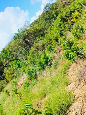 12 Acre Agricultural Project With Borehole and Farm Produce in Kwale
