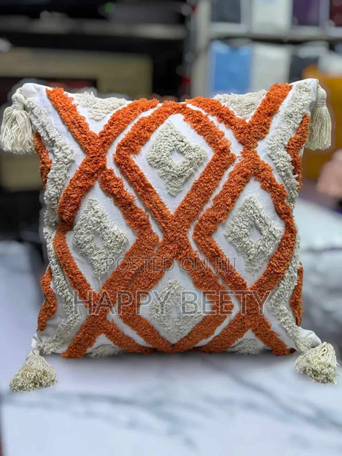 Throw Pillow Cases