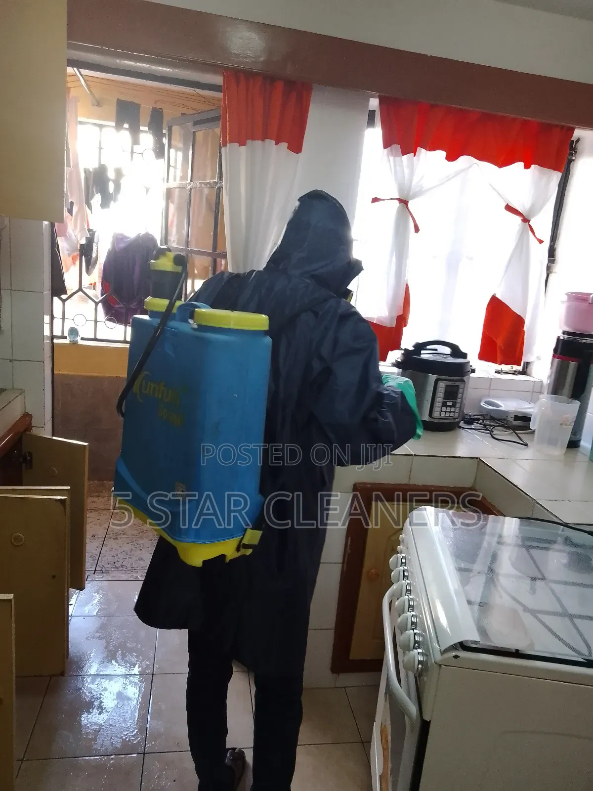 Fumigation Against Cockroaches and Bedbugs