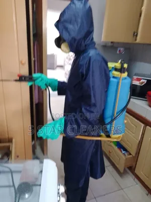 Bedbugs, Cockroaches, Rodents and Mosquitoes Fumigation Services